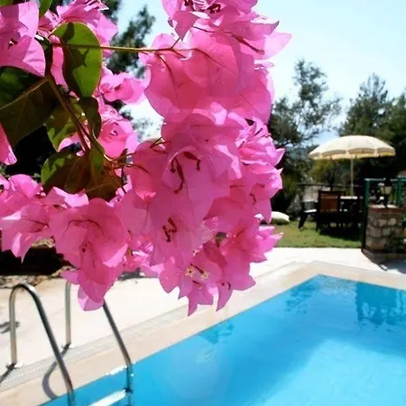 Turkuaz Butik Otel Sarıgerme